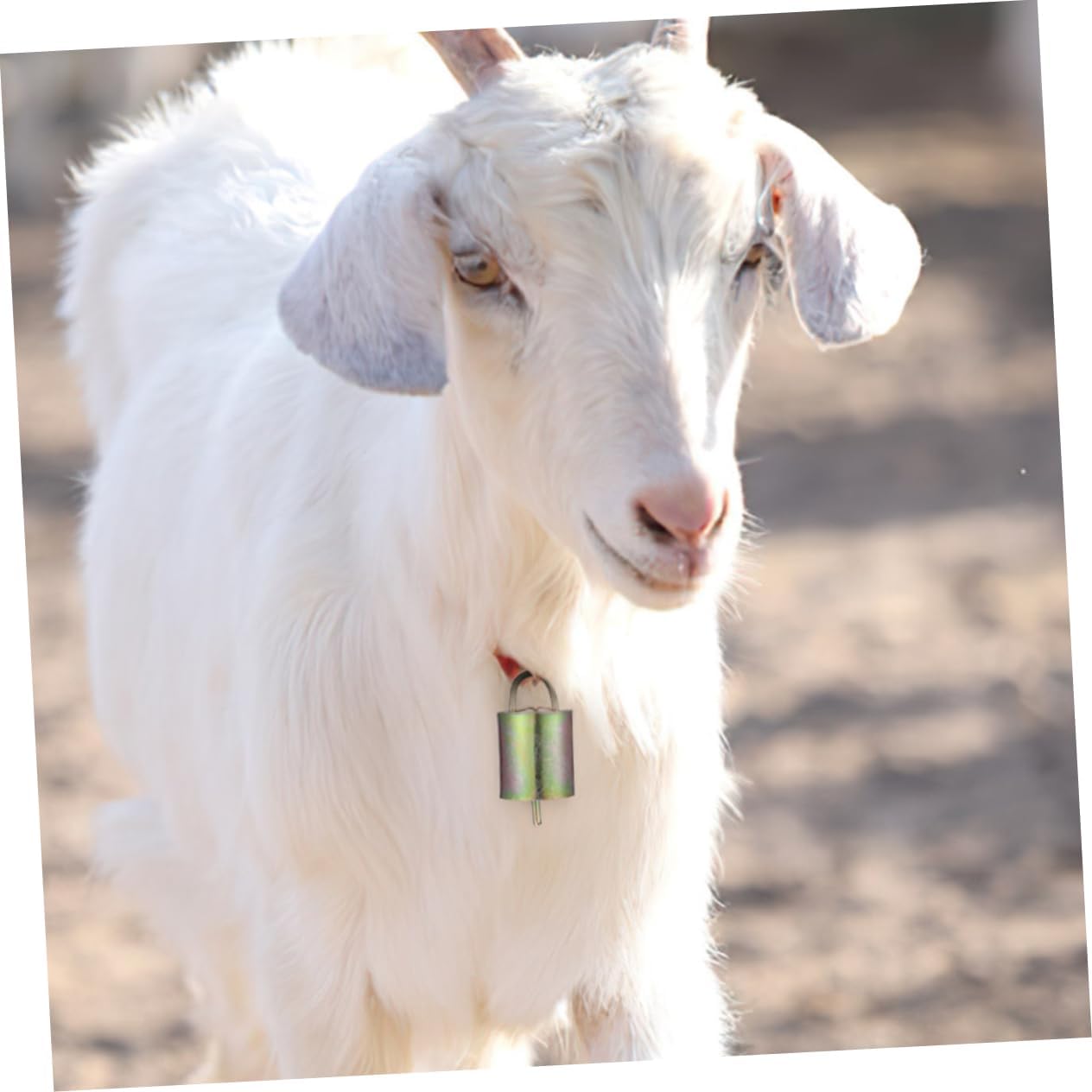 BESPORTBLE 6pcs Cattle Bells Sheep Bells for Livestock Lost for Farming Crafts Sporting Events Crisp Sound