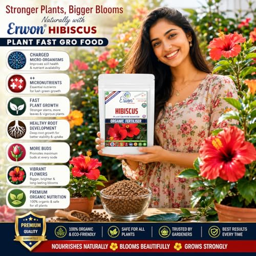 Image of Erwon Hibiscus Plant Growth Booster, Premium Essential Powerful Organic Fertilizer For Overall Growth Of Hibiscus Plants, With Charged Micro-Organism And ++ Micronutrients. (5 Kg), Powder