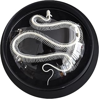K99 Real Snake Skeleton Animal Specimen-Snake Skeleton Specimen-for Taxidermy Supplies Art Bone Vet Medicine Office Bar Decoration Collection