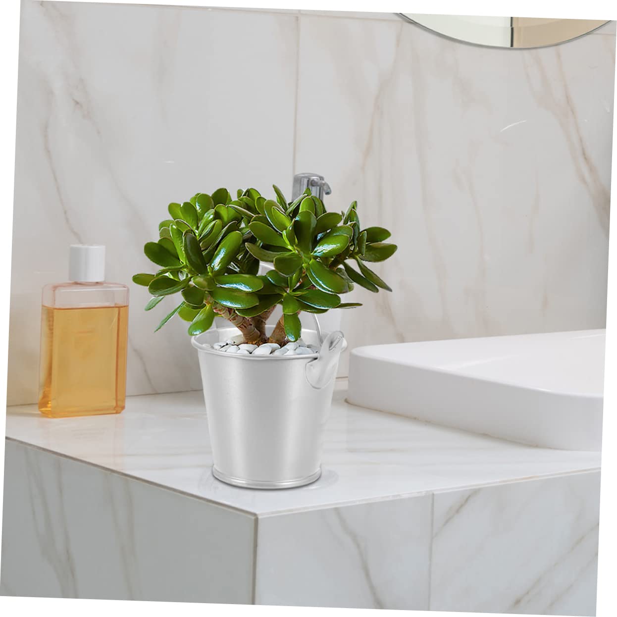 Lot De 5 Seaux En Métal Pour Pots De Fleurs, Organisateurs D