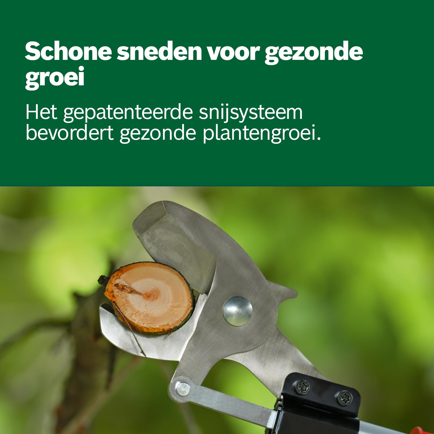 Bosch Tuinapparatuur - 12V ACCU takkenschaar, 2x 3,0 Ah accu, lader 06019K1021