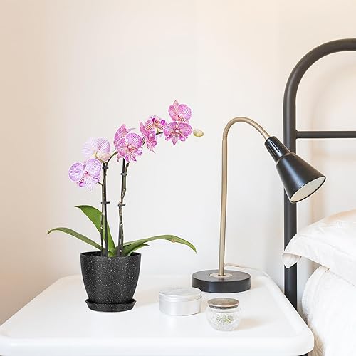 Miniatura 5 de 5 macetas para plantas, macetas de 7.56.55.74.94.1 pulgadas para plantas, maceta decorativa moderna para interiores, macetas de interior con drenaje