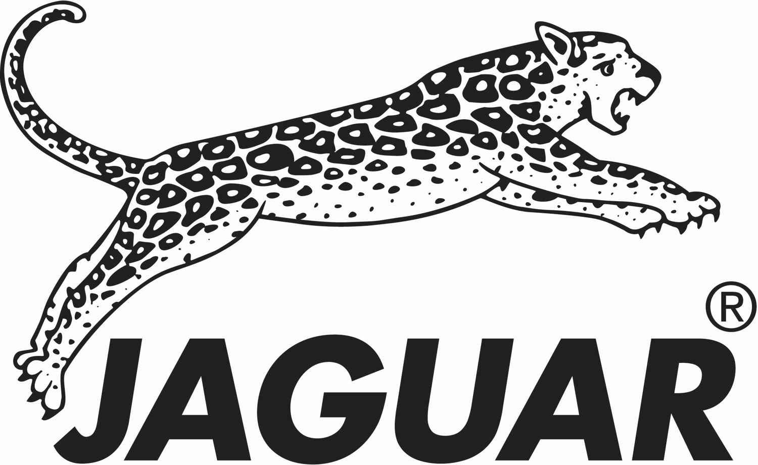 Jaguar Silver Line CJ 43 Plus 6.0".