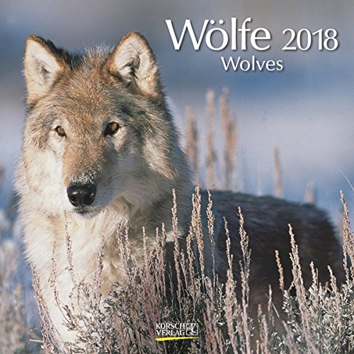Wölfe 2018: Broschürenkalender mit Ferienterminen. Fasziniernde Bilder von Wölfen. 30 x 30 cm Wölfe 2018: Broschürenkalender mit Ferienterminen. Fasziniernde Bilder von Wölfen. 30 x 30 cm