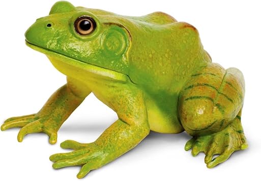 Safari Ltd. American Bullfrog Figurine - Realistic 4.75" Model Figure - Educational Toy for Boys, Girls, and Kids Ages 18M+