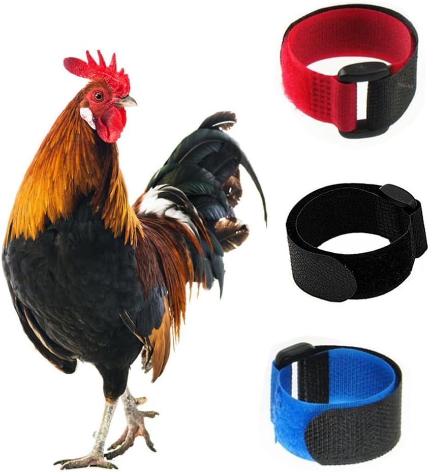 3 Pack No Crow Rooster Collar, Chicken Collar Anti-Hook Noise Free Neckband No Crow Noise Neck Belt for Roosters - Prevent Chickens from Screaming, Disturbing Neighbors