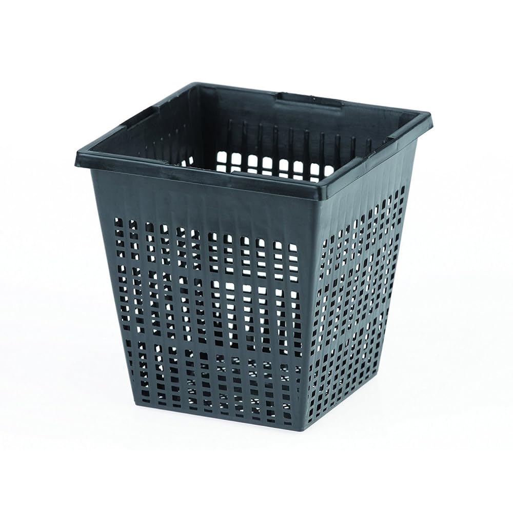 animallparadise - Lot de 10 Paniers, Taille 11 x 11 x 11 cm, pour Bassin Aquatique