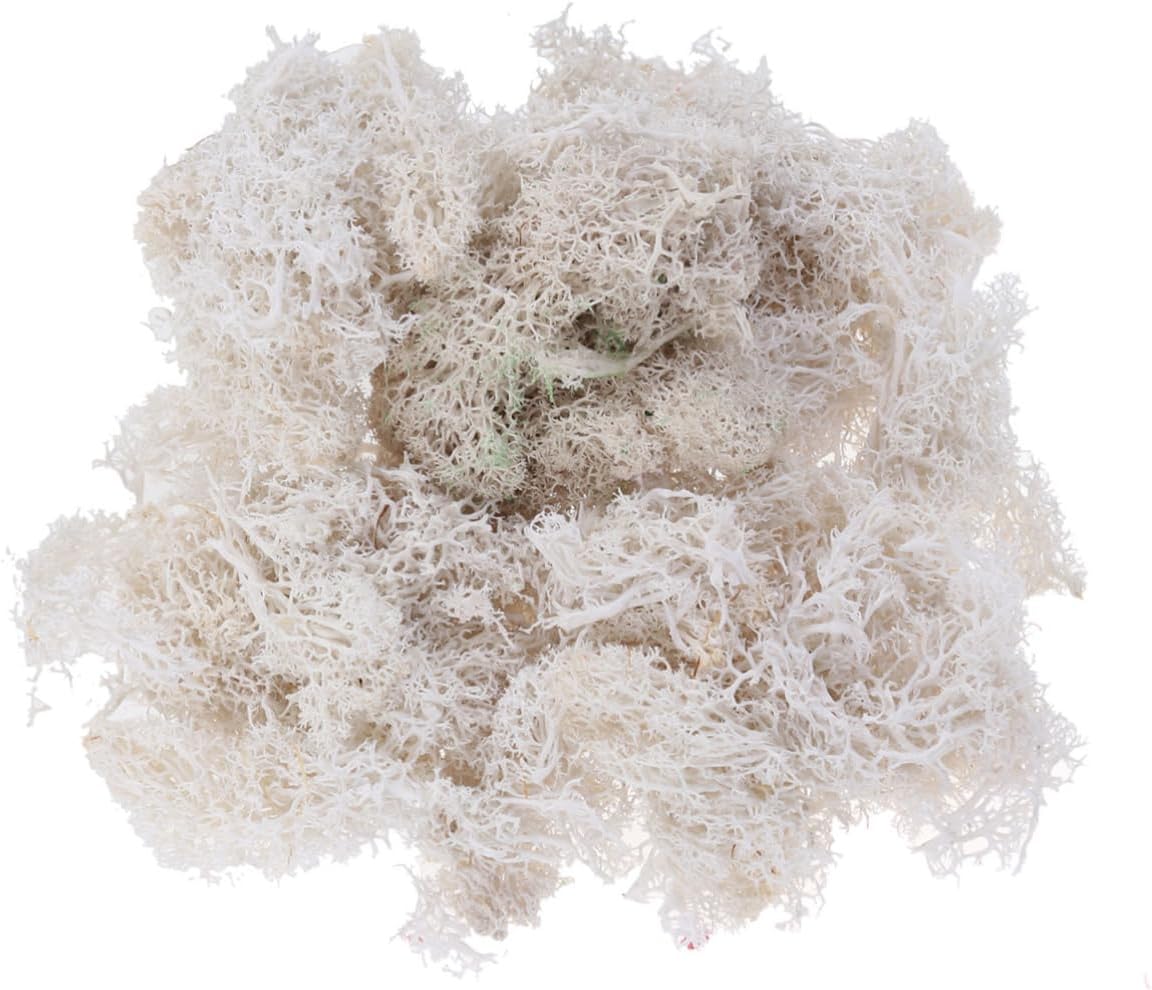 IWOWHERO 3pcs Preserved Moss Floral Material for Wedding Decor White Imitation Moss for Terrariums and Crafts for Bouquets and Home Decoration