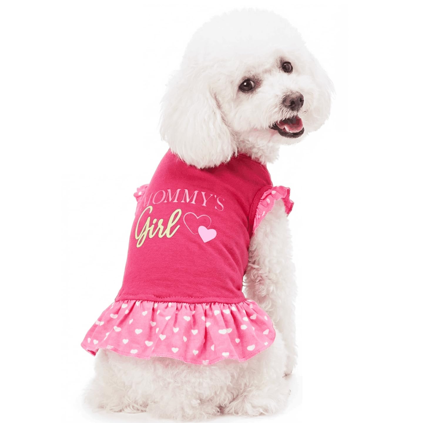 Cute Small Girl Dog Clothes Dogs Dresses for Girls Puppy Dress for Female Small Dogs with Mommy's Girl Print, Large