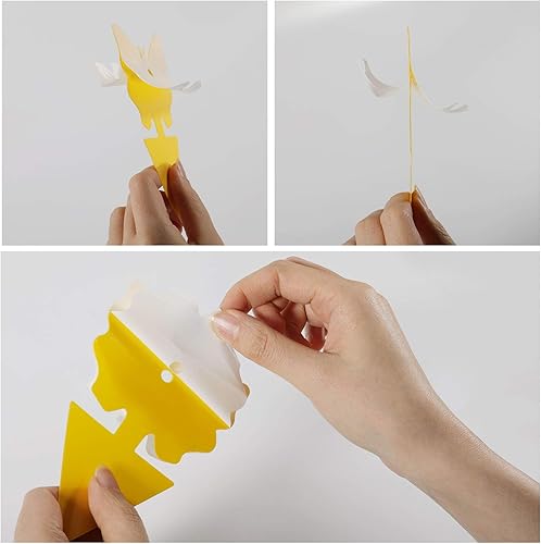 Miniatura 3 de 24 trampas adhesivas para moscas de la fruta, trampas para mosquitos de hongos, trampas para insectos para plantas, cocina, interiores y exteriores