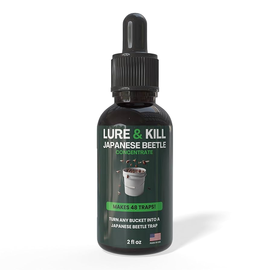 【美品】【希少品】Squirrel Bait Squirrel Bait – Smitty's Fly Box