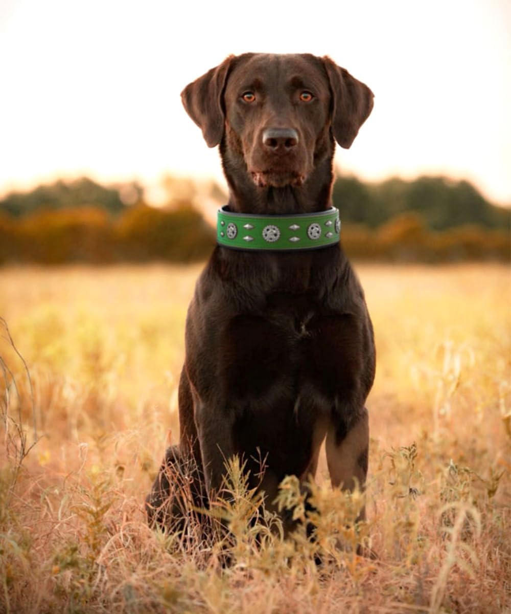 Premium Leather Dog Collar for Large Dogs - 2-Inch Wide Adjustable Soft Handmade Heavy Duty Collar for Giant Breeds, Durable & Comfortable - Green