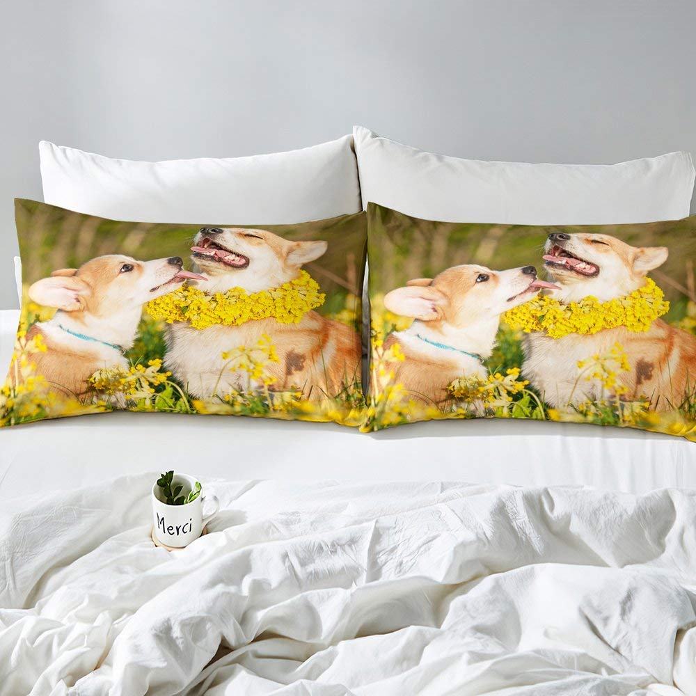 ABAKUHAUS Copripiumino Land, romantici fiori gialli, antiacaro, adatto a chi soffre di allergie, con federe, 200