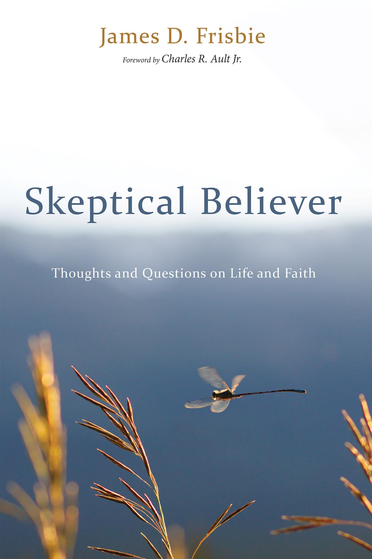 Skeptical Believer: Thoughts and Questions on Life and Faith