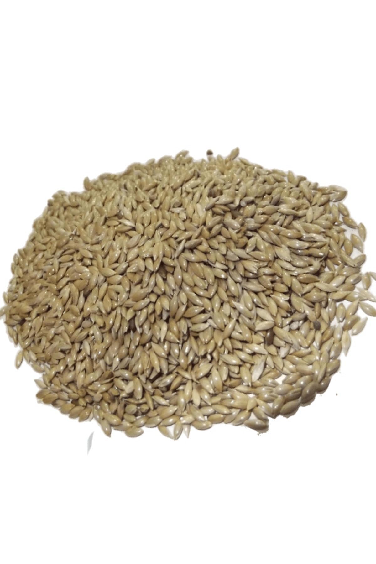 Elenmiş ve temizlenmiş sade aspur kanarya yemi, 1 kg, vakumlu ambalaj