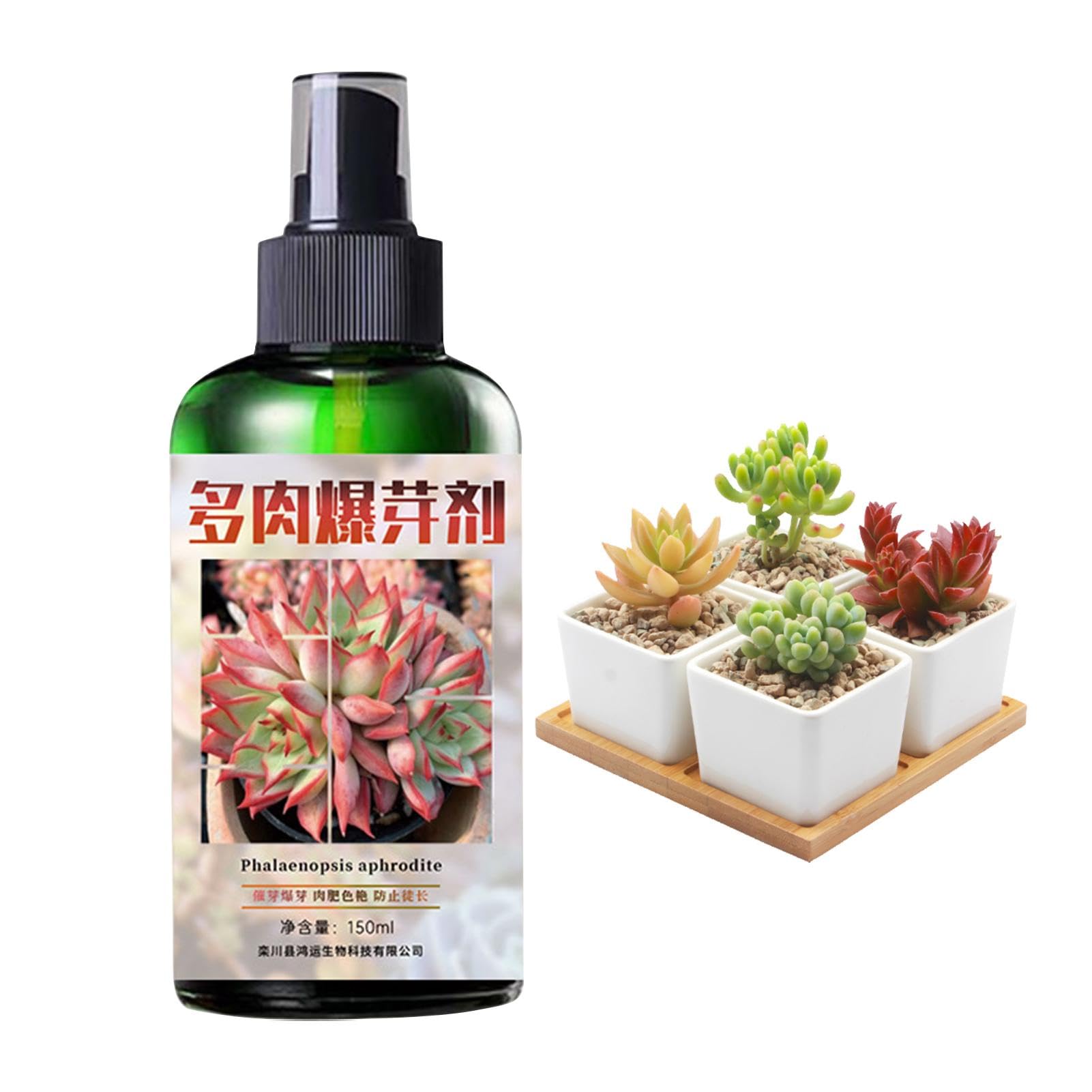 Fertilizzante Liquido Per Piante Grasse 150ml - Spray Per Cactus E Succulente Da Interno - Foto 12