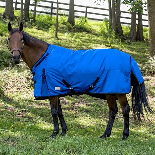 Image of TUFFRIDER 1200D Comfy-FIT Standard Neck Medium Weight Horse Turnout Blanket, Royal, 84-in