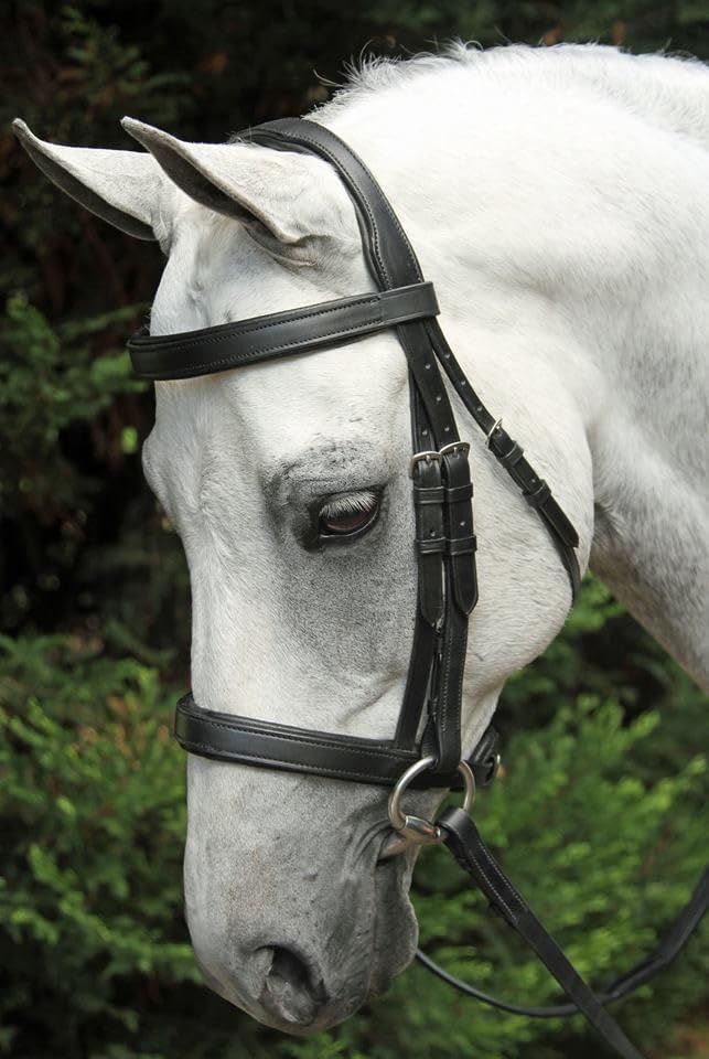 English Bridle Cowhide Genuine Leather Headstall Reins Horse Crossover Crossunder Raised Fancy Stitched Laced All Purpose Jumping Dressage Rubber Crystal Padded Adjustable Browband Full-Cob,M82