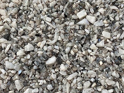 Image of GAF TREASURES 2 oz Lot Natural Semi Tumbled Gemstone Chips, Crushed Mini Crystals, Undrilled Crystal Chips (Rainbow Moonstone)