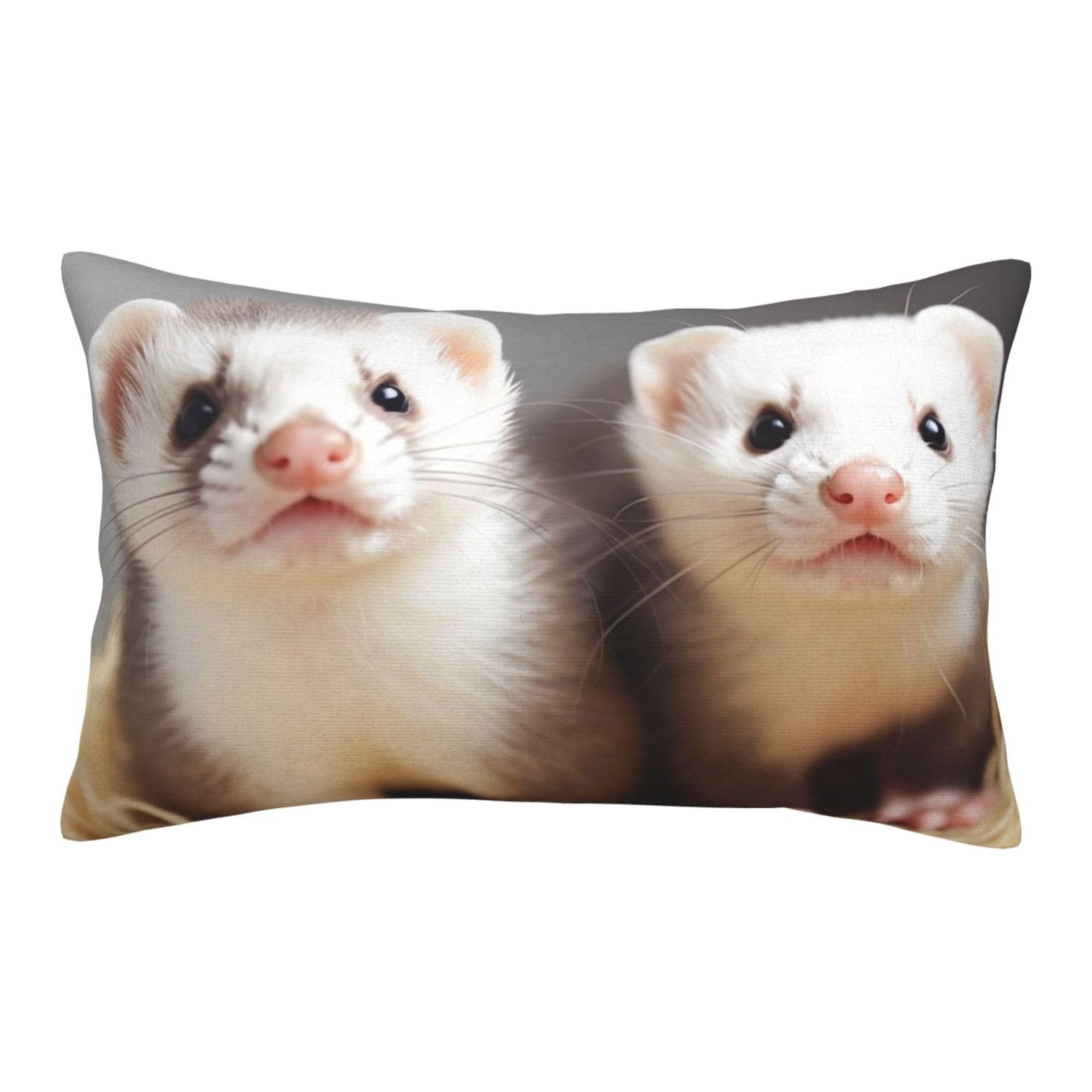 Velvet Pillowcases 20"x30" Ultra Soft Breathable Pillow Cases, Luxury Fuzzy Throw Pillow Covers with Zipper, Ferrets Pillow Shams All Seasons Decorative Cushion Cases for Couch