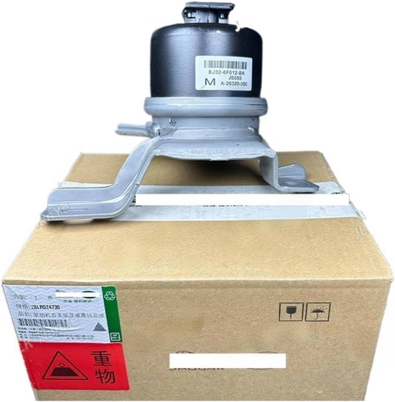 蘇轍　ソテツ　　ダブルヘッド Yahoo!オークション - 常緑樹 大人気 ソテツ ダブルヘッド 蘇鉄