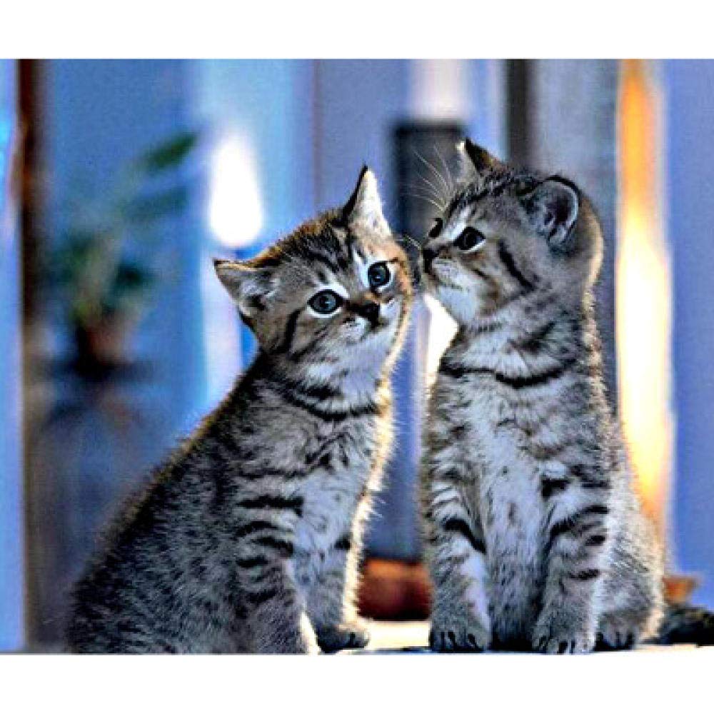 Kit broderie de diamant chatons gris 50x60 cm cadeau créatif
