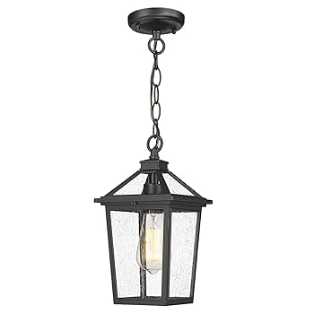 ゆ*る様 FaB Light & Shadow Convention Exclu zeyu Farmhouse Outdoor Ceiling Hanging Light, 12 Inch