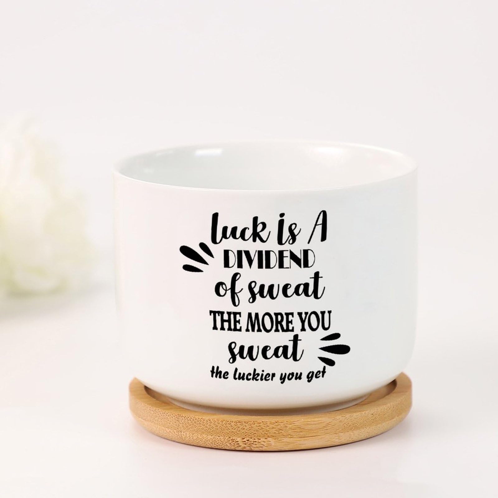 zimmerpflanzen hilfe Starter-Set | plus kleines Geschenk
