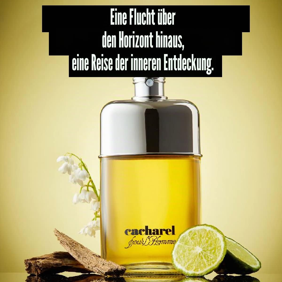 Cacharel Pour L`Homme Parfüm Herren| Eau de Toilette| Männer Parfum| Parfume Men| Herrenparfum| Herren Düfte| Natural Spray| Holziger Duft| 100ml (Packung mit 2)