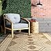 nuLOOM 4x6 Outdoor/Indoor Ranya Tribal Area Rug, Light Brown, Geometric Design, Stain Resistant, Highly Durable, For Patio, Balcony, Bedroom, Dining Room, Living Room, Bathroom