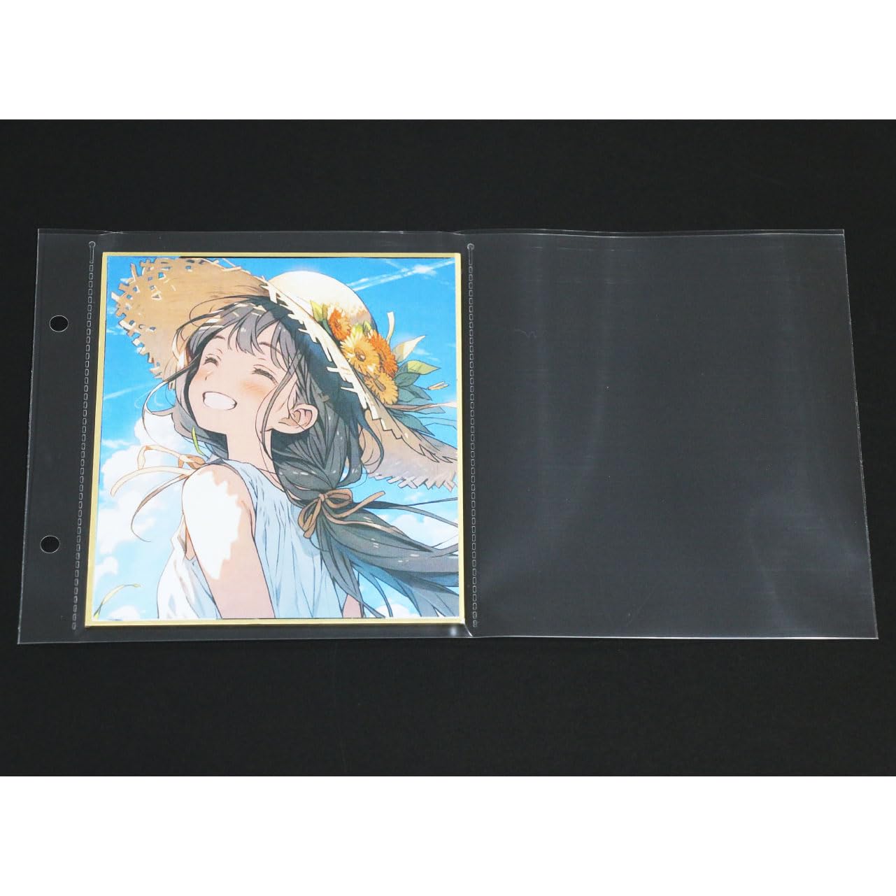 Amazon.co.jp: テージー ミニ色紙アルバム用 リフィール ZMS-120-S 
