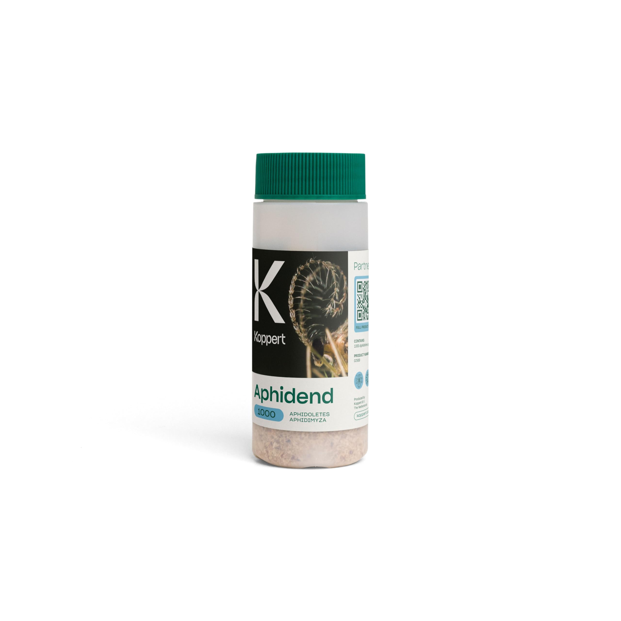 Dragonfli Aphid Killer - Aphidoletes Aphidimyza - Natural Aphid Control Using Parasitic Midges