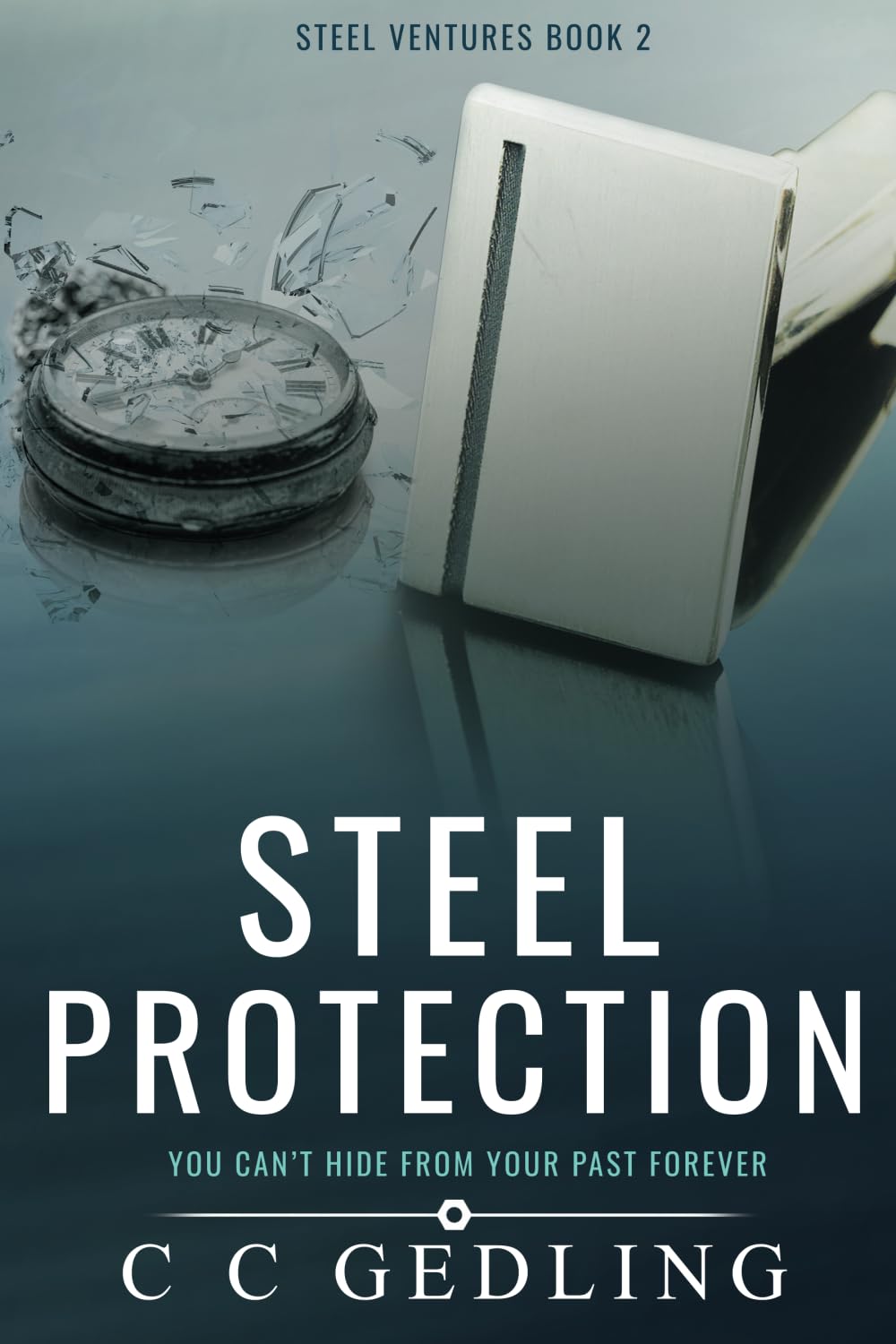 Steel Protection: You can’t hide from your past forever: 2 (Steel Ventures)
