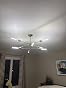 Customer review image for Great fixture
