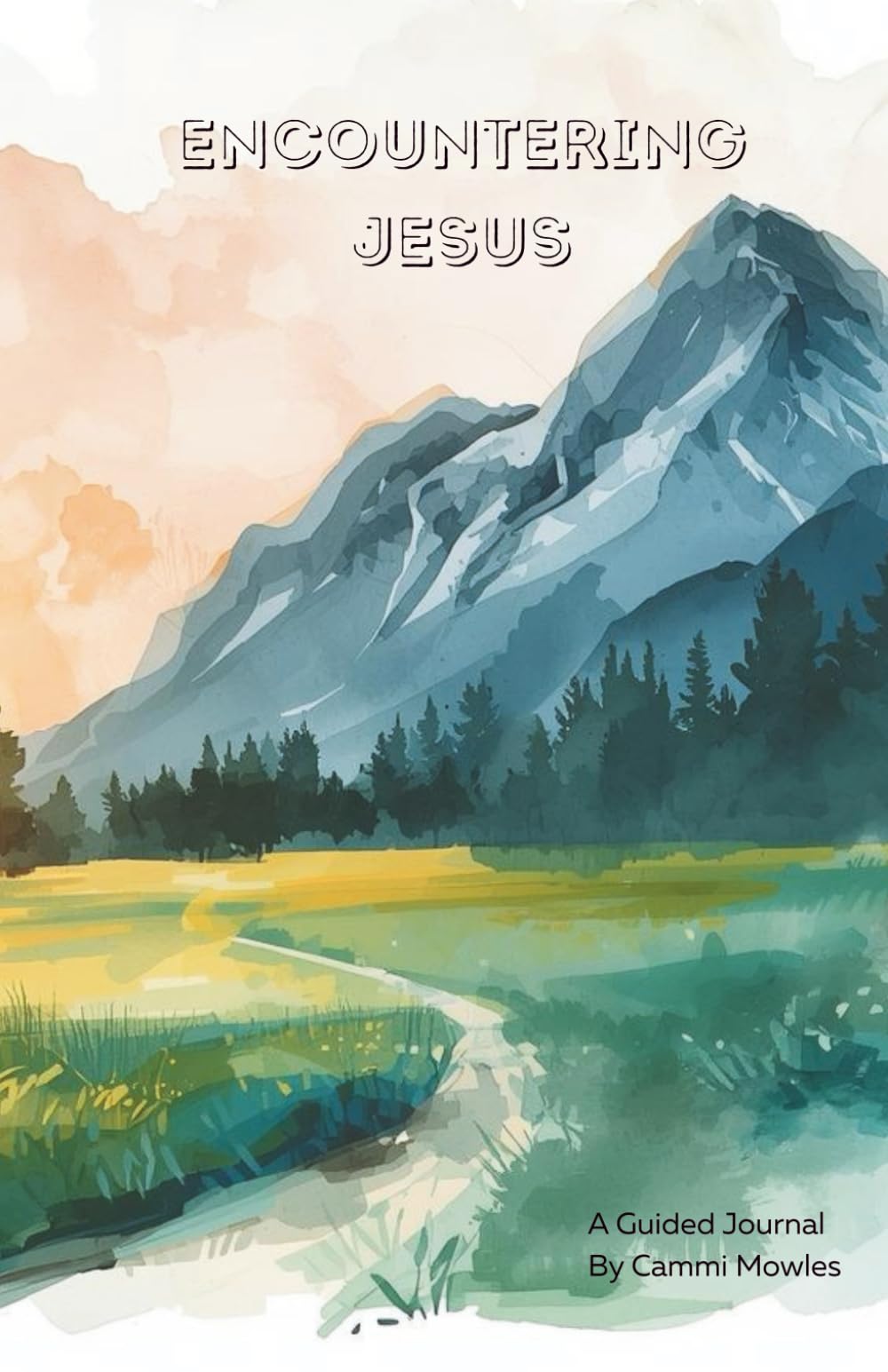 Encountering Jesus: A Guided Journal