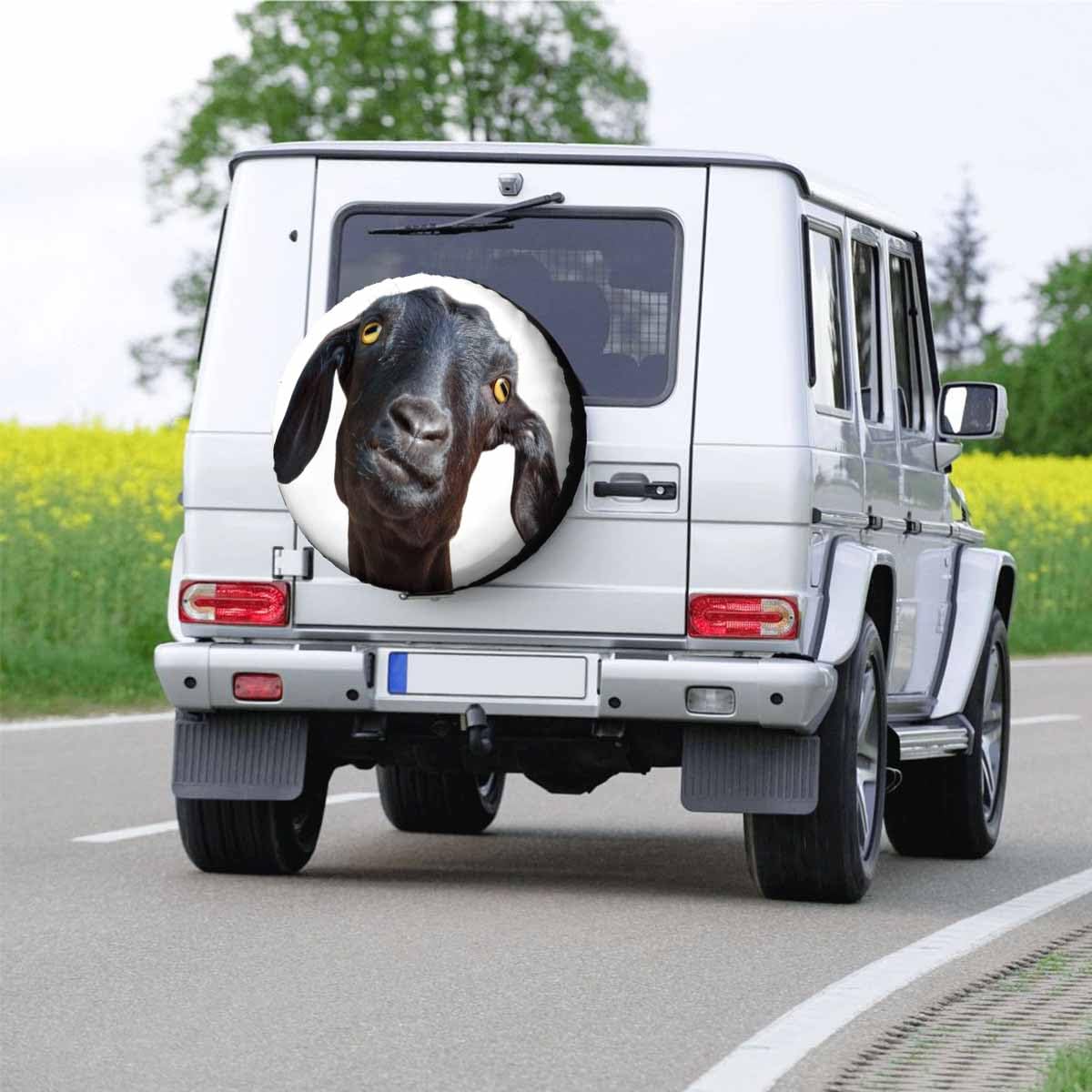 Genuine OEM Baumatic Beko Dishwasher Mesh Micro Filter Basket Assembly