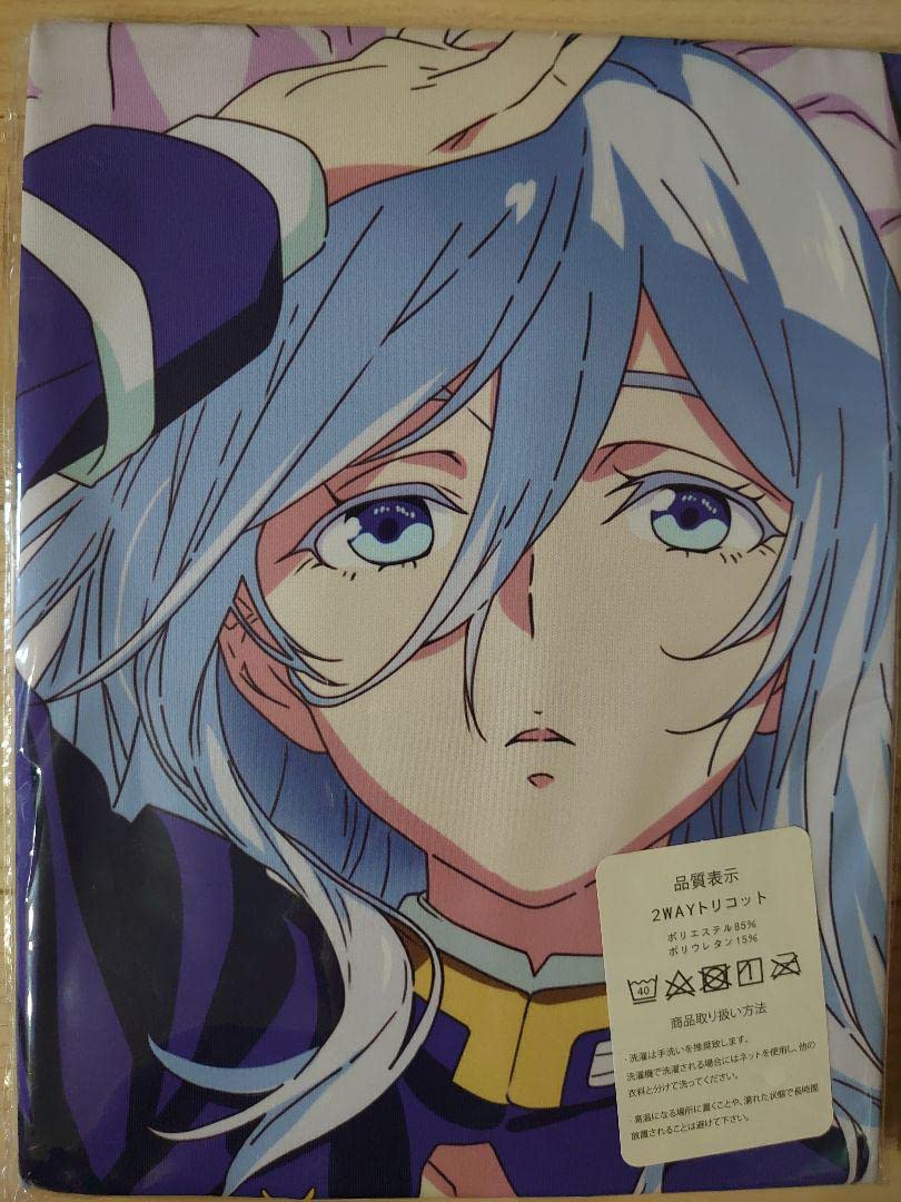 Amazon.co.jp: 86 エイティシックス レーナ 抱き枕カバー