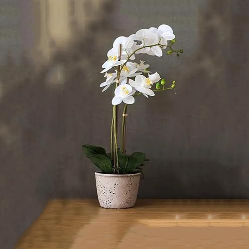 Miniatura 4 de HAHIZIN Estacas de bambú de jardín natural para plantas de interior y exterior, 20 estacas de soporte para plantas para tomates, frijoles, plantas