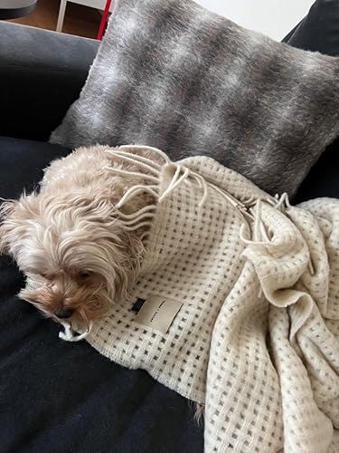 Miniatura 19 de Manta de lana de alpaca Manta de lujo de alpaca Manta de lujo ecológica y hecha de forma sostenible (jaspeado gris claro sólido) Gris claro