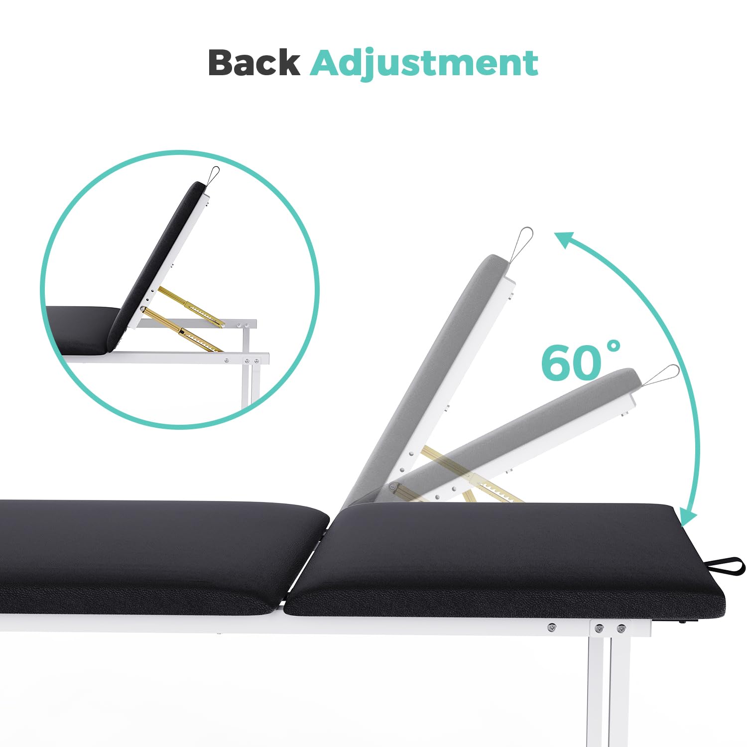 OLERN Premium Medical Exam Table with Back Adjustable - Reinforced Back Structure - Paper Roll Dispenser - Durable Leather Cover - Ideal Exam Table for Physical Therapy, Chiropractic Use