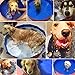 Galapara Piscina Plegable para Perros, Bañera Plegable de Mascotas Baño Portátil para...
