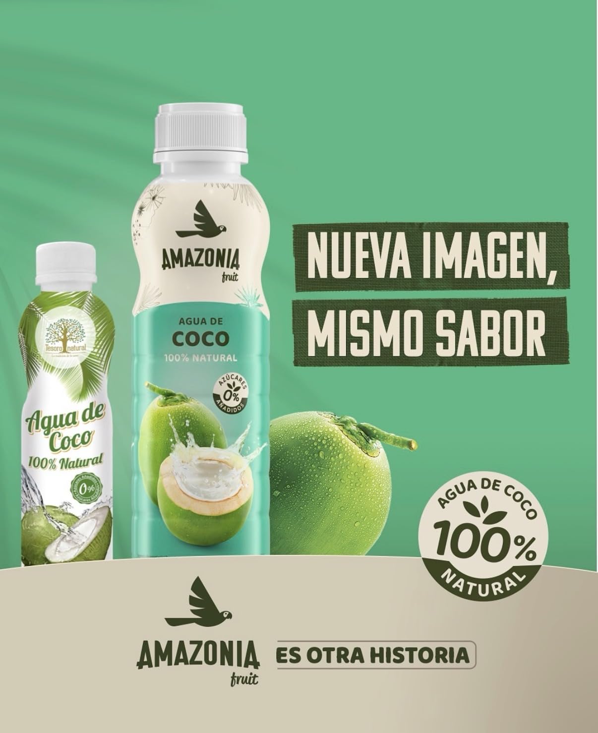 Tesoro Natural Agua de Coco 100% Natural, 12 Latas, 500 ml