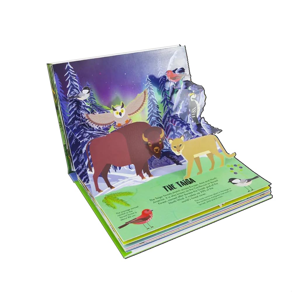 Nature Pop-Up! Forests: 8 Pop-up Forest Scenes (Happy Fox Books) Pop-Up Book for Kids Ages 6 and Up - Exciting Scenes, Fun Facts, and Interactive Elements in a Sturdy Hardcover - PT02
