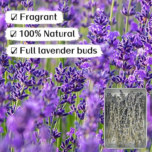 Ramillete de flores de lavanda culinaria secas 100 tallos miniatura 2