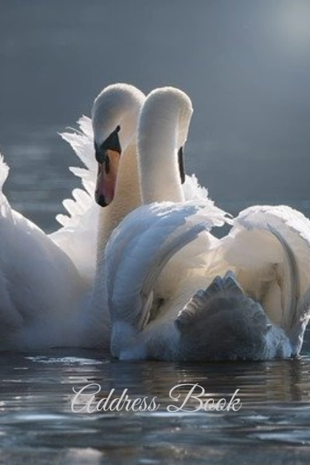 Two Swans Address Book : Alphabetical Tabs to Record Phone Numbers, Addresses, Emails, Birthdays, Notes and more