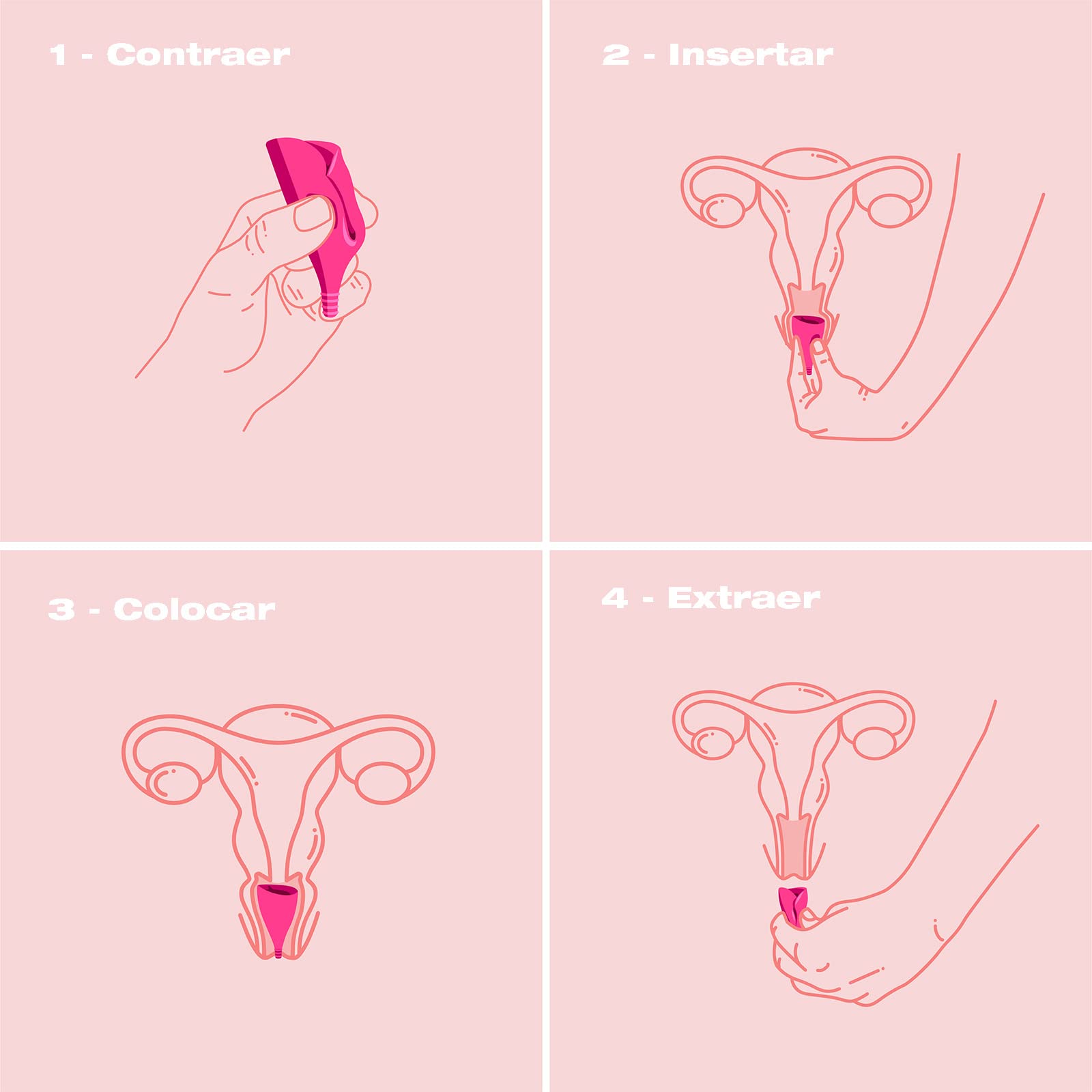 INTIMINA Lily Cup: Copa Menstrual Fina. Para Flujo Ligero o Medio. Una de las Mejores Copas Menstruales Que Puedes Usar Durante 8 Horas (A)