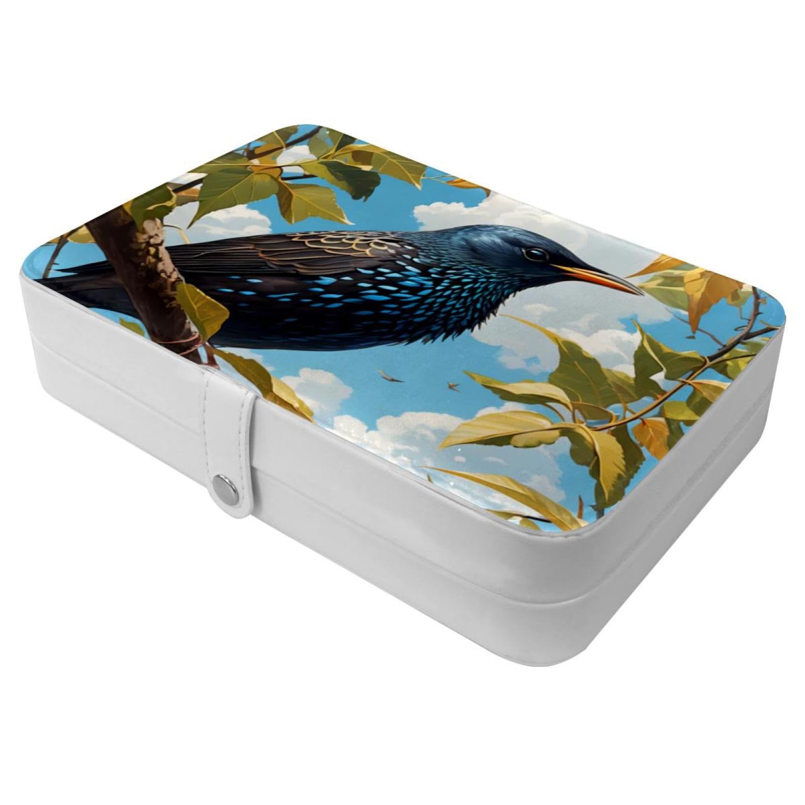 Boîte rangement compacte bijoux avec boucle métal robuste et étourneaux mignons