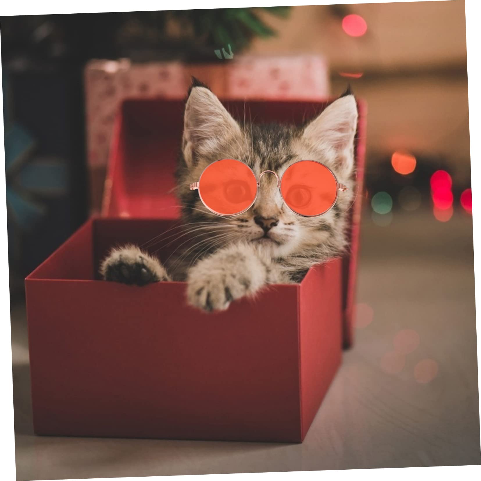 FONDOTIN Sunglasses for Dogs Cats 5pcs Pet Photo Props Stylish Uv Protection Glasses Cat Eyewear