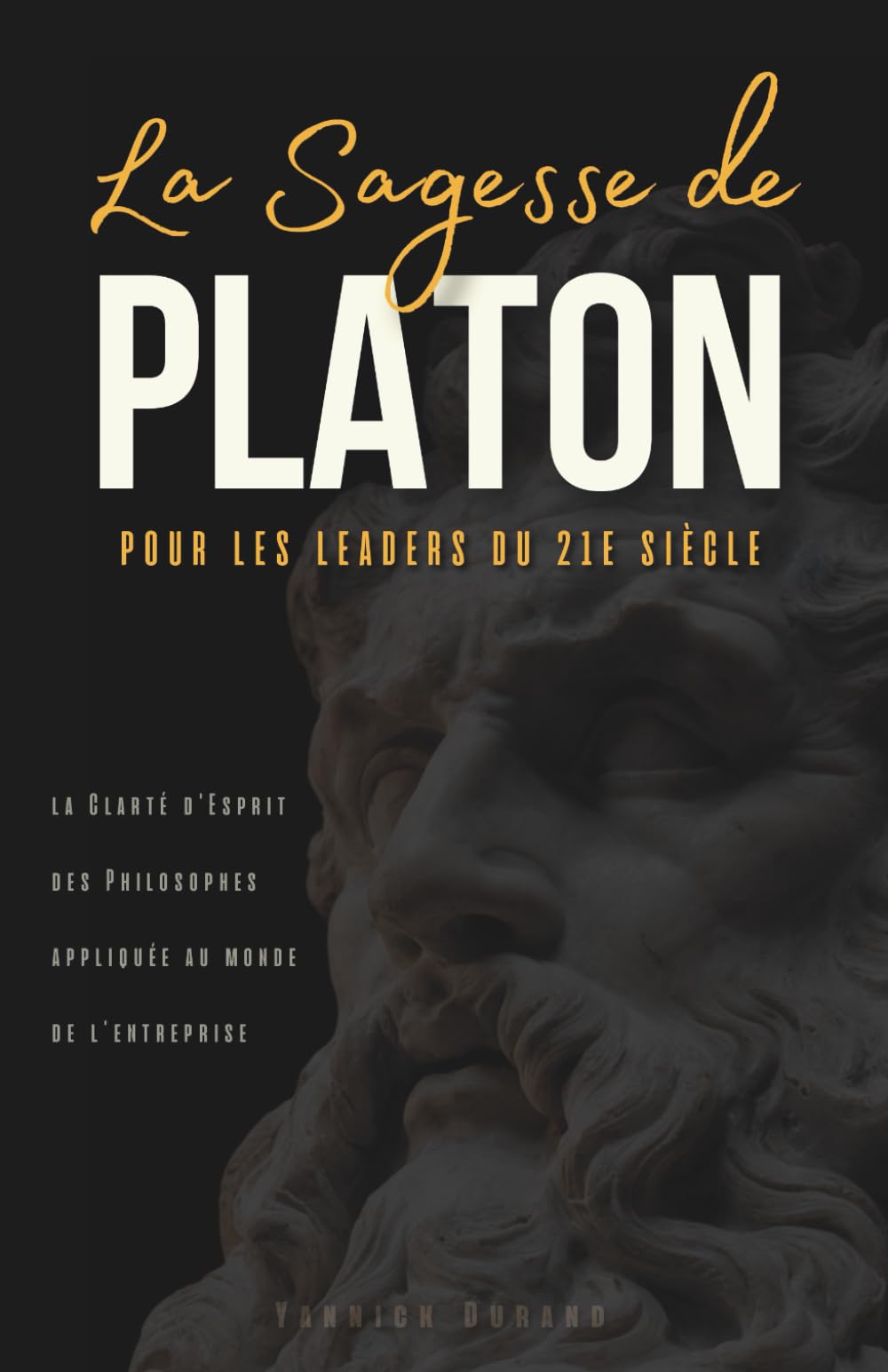 La Sagesse de Platon : Atteindre la clarté d'esprit sans la complexité philosophique