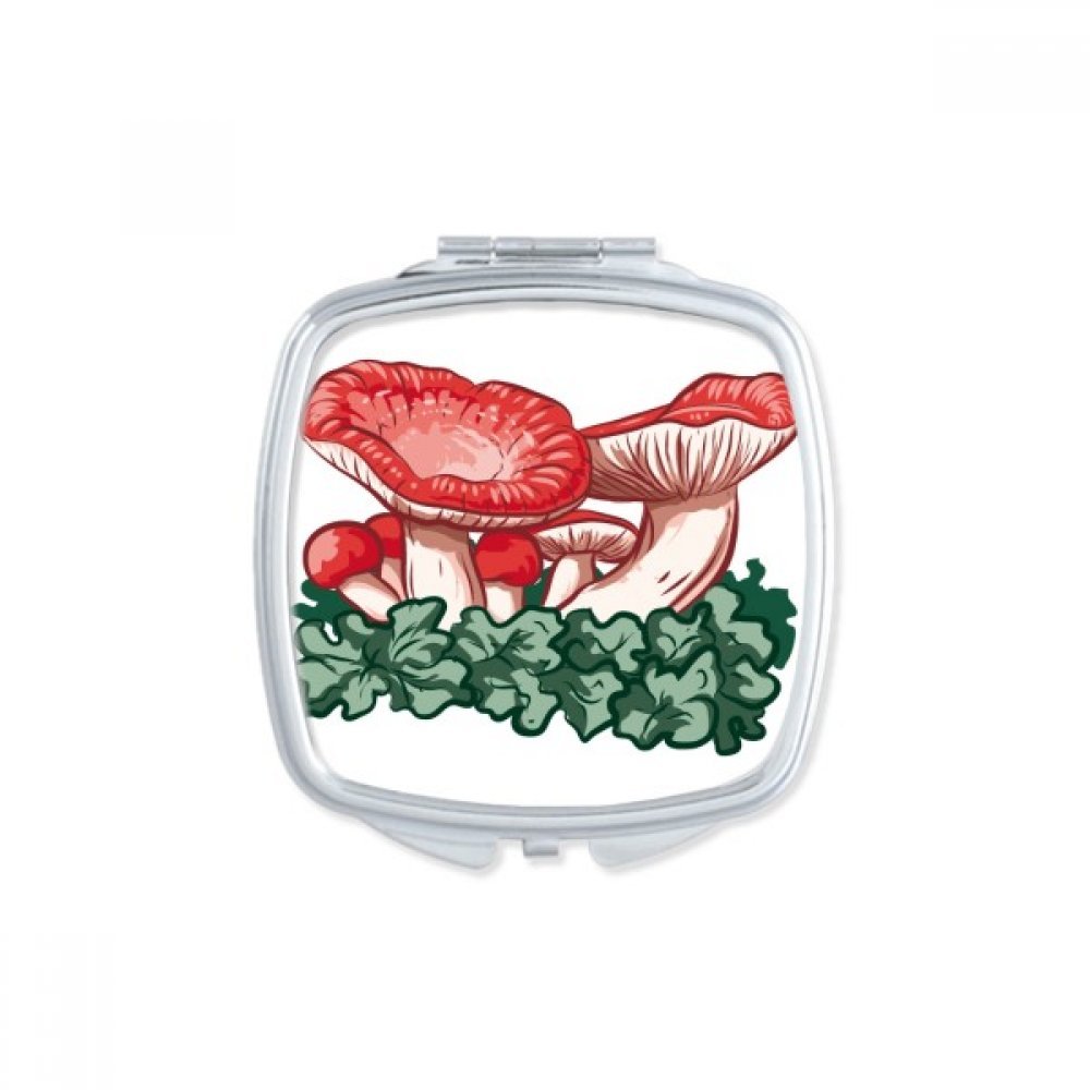 Miroir de poche champignon vert mignon pour un maquillage parfait partout